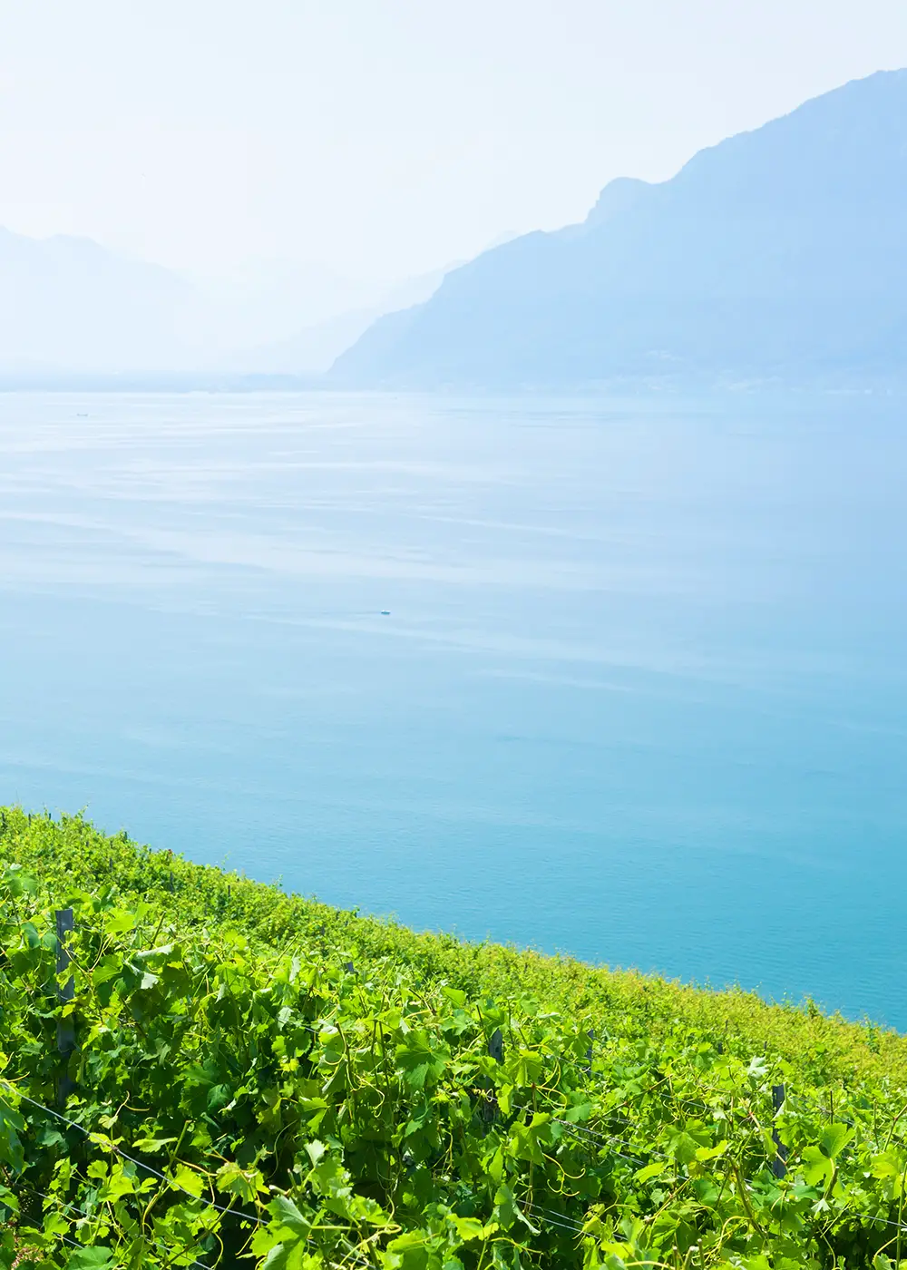 스토리가 있는 스위스 여행