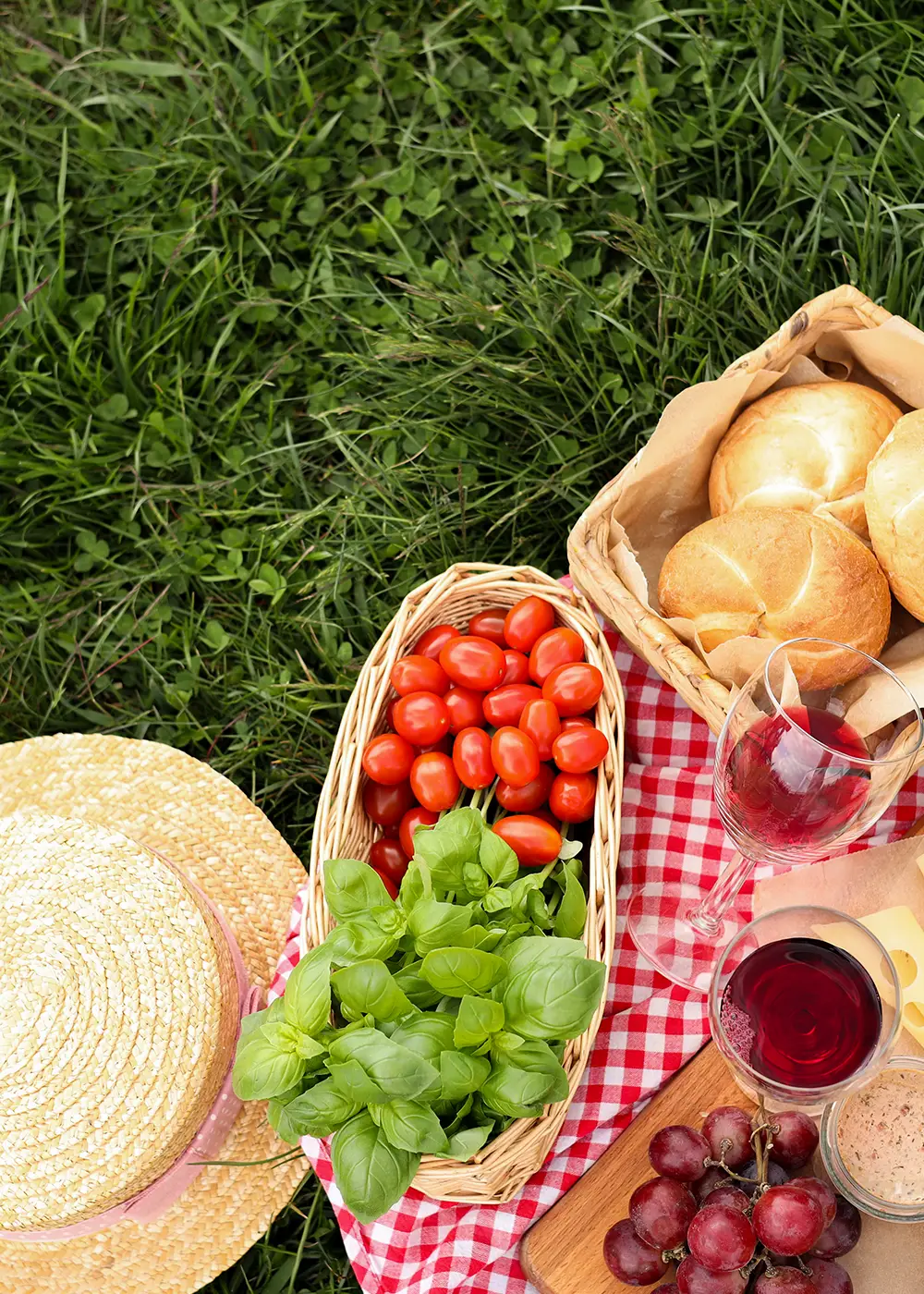 스위스로 떠나는 피크닉