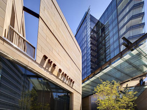 더 달링 앳 더스타