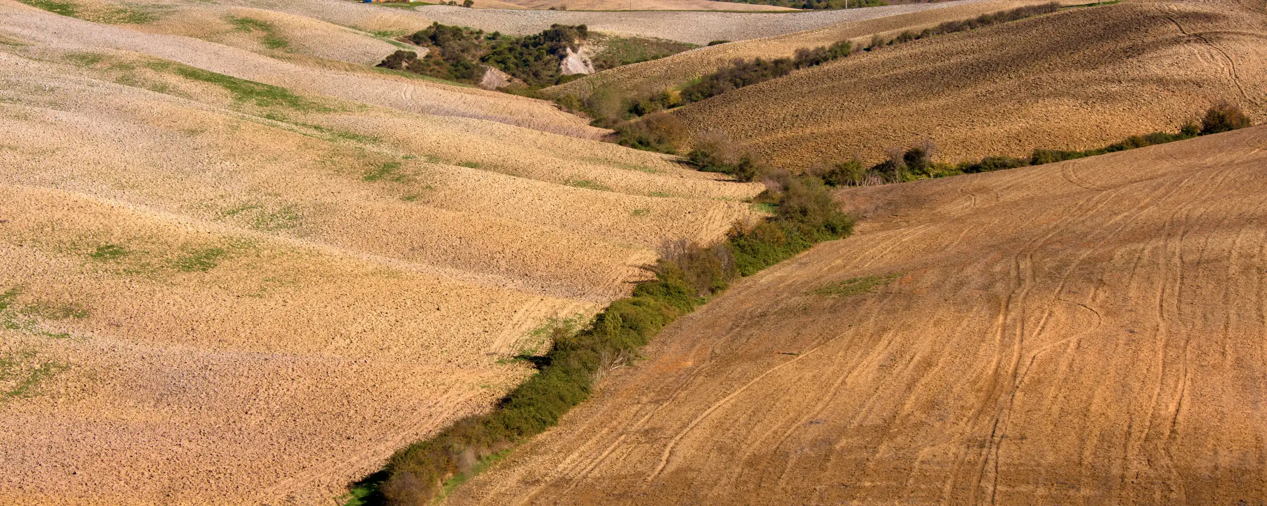 Montepulciano-몬테풀치아노