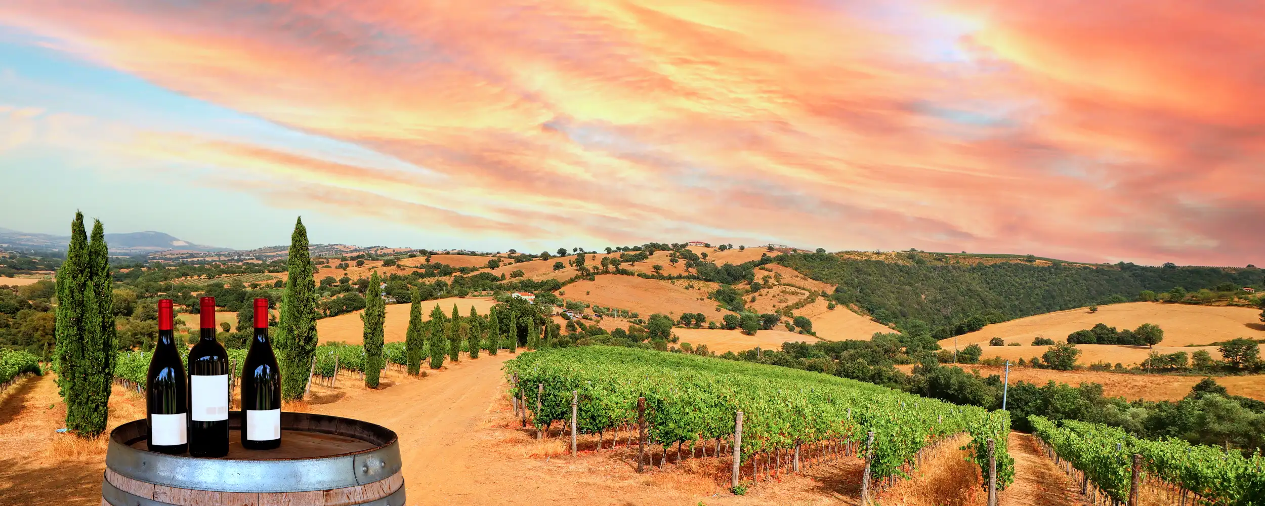 Montepulciano-몬테풀치아노