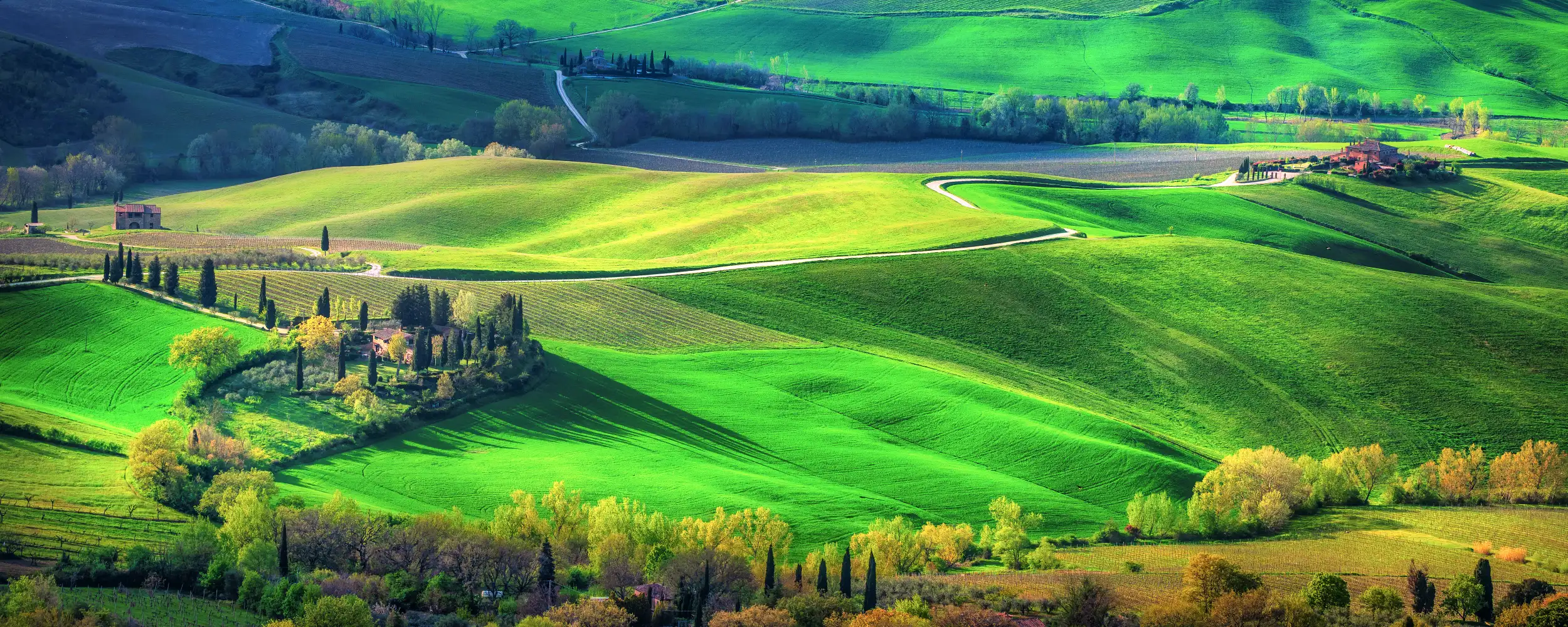 Montepulciano-몬테풀치아노