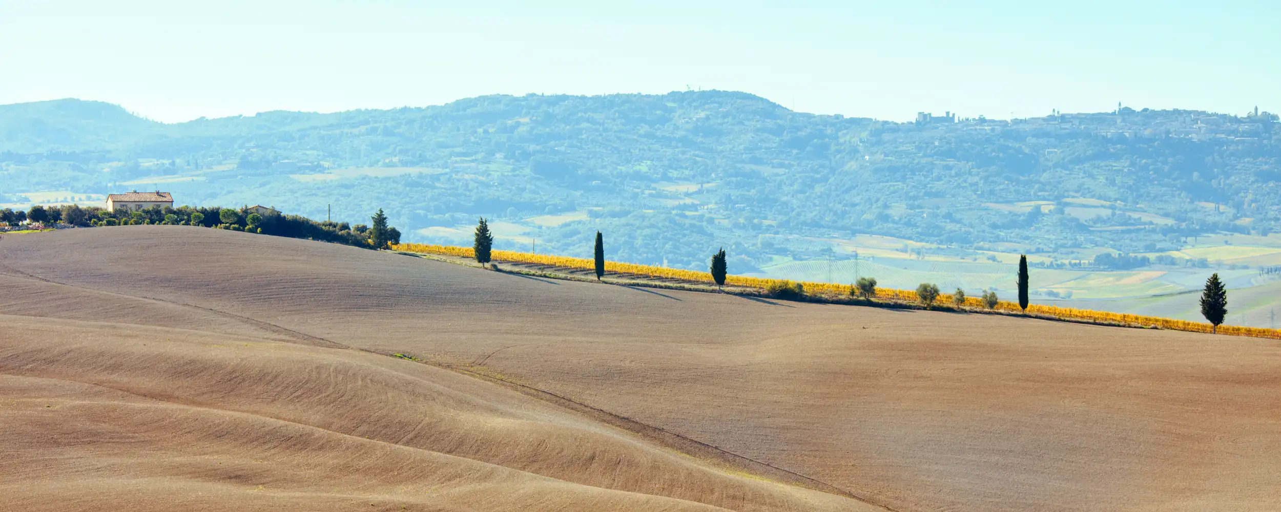 Montepulciano-몬테풀치아노