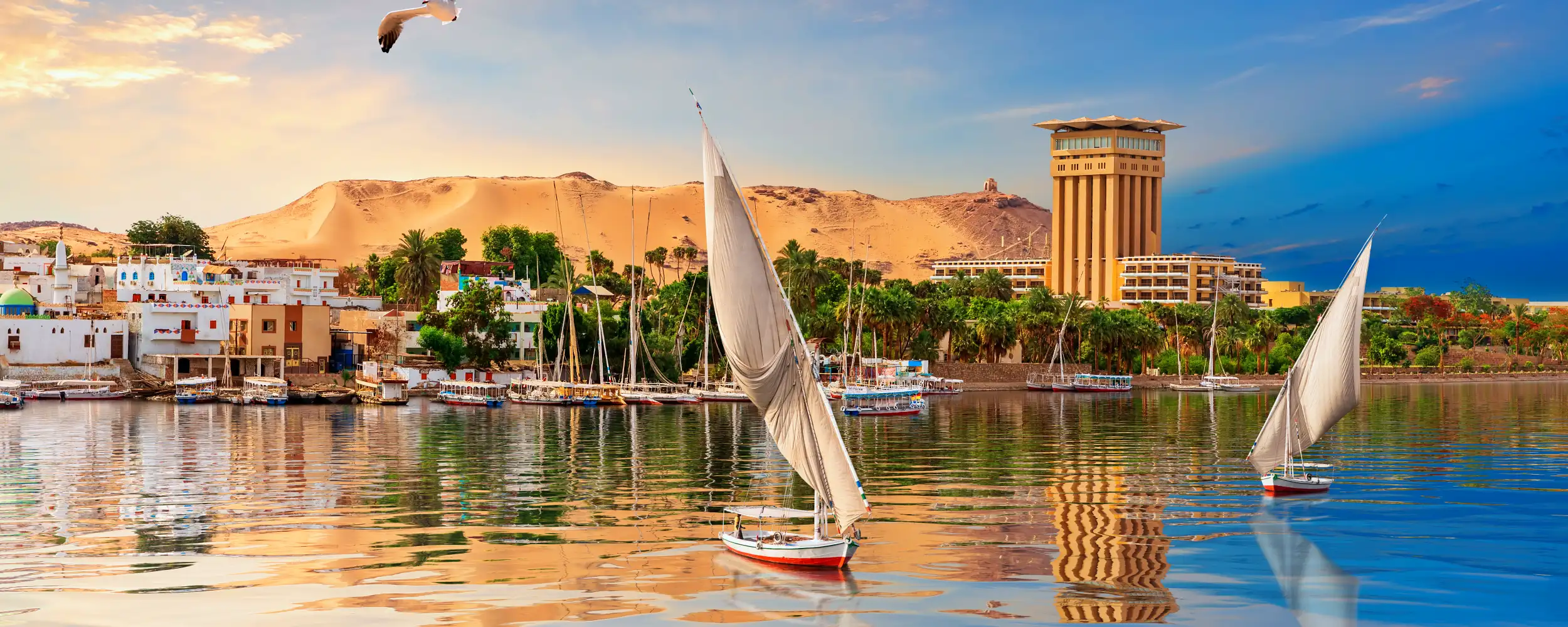 Aswan-아스완