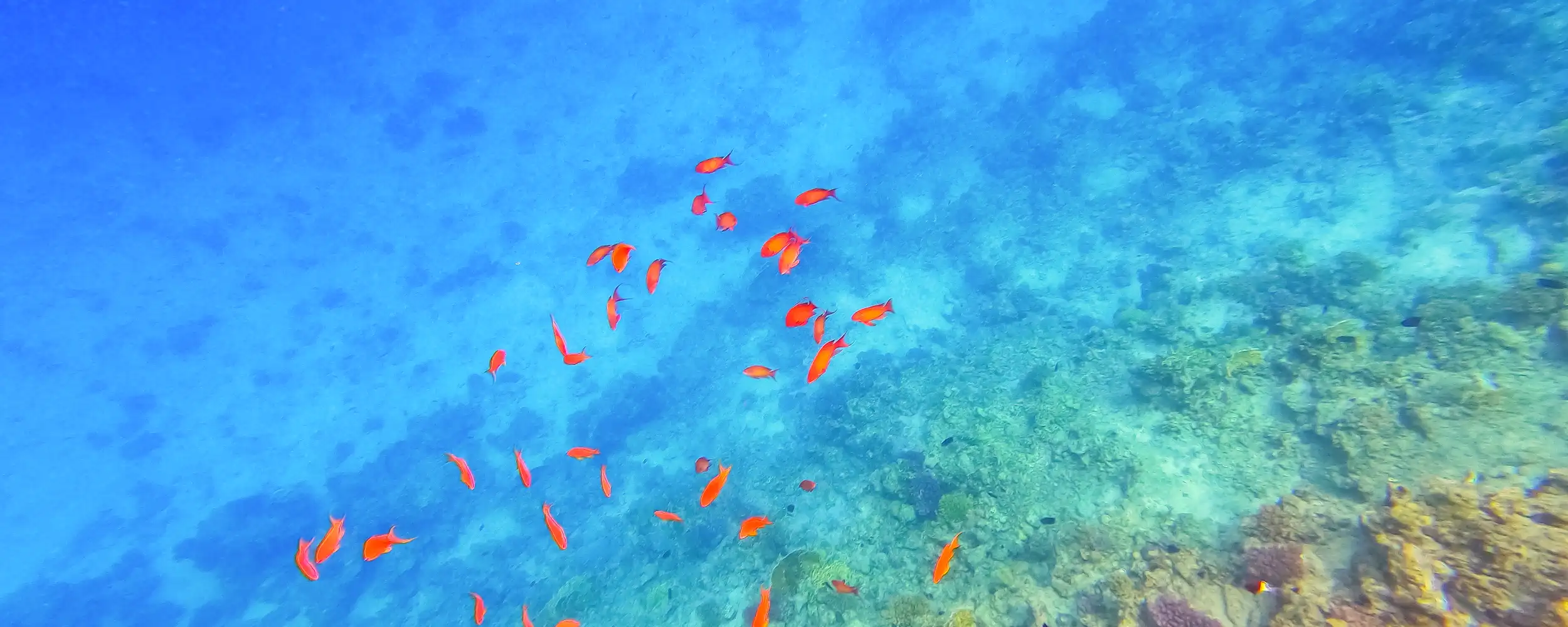 Hurghada-후르가다