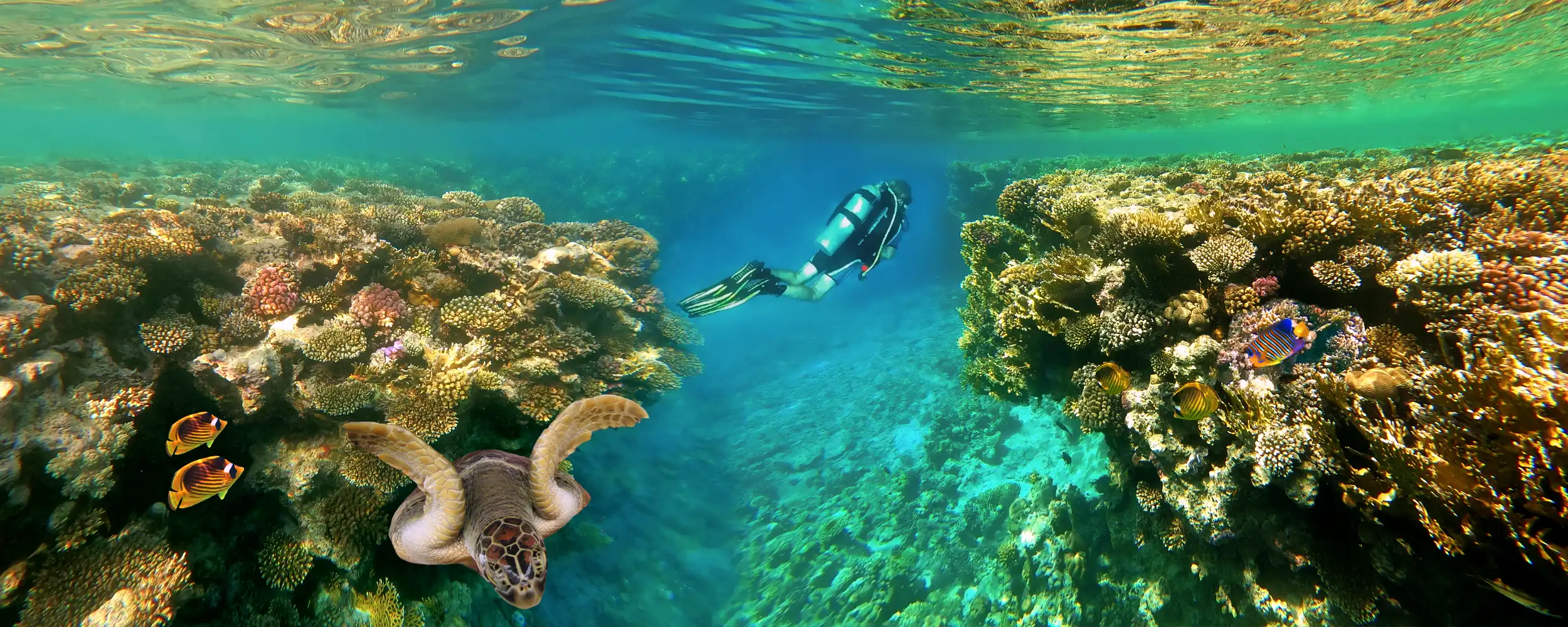 Sharm el-Sheikh-샤름엘셰이크