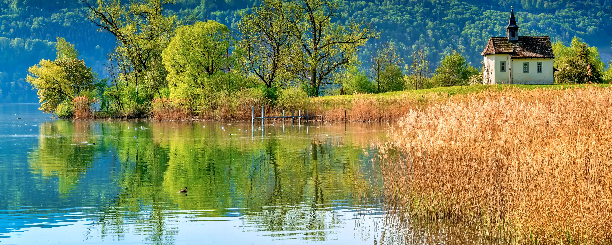 St. Gallen-생갈렌