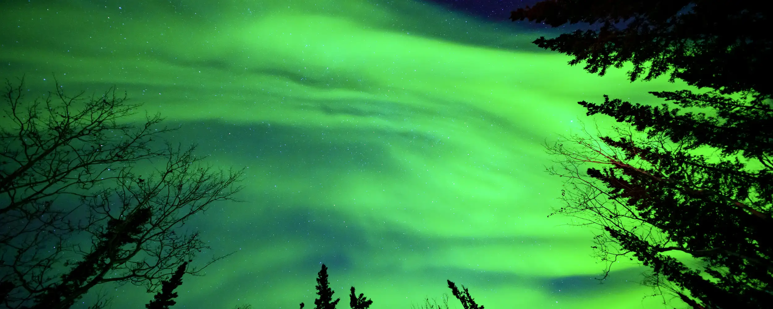 Yellowknife-옐로나이프