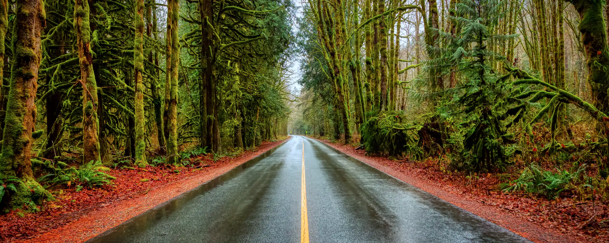 Squamish-스쿼미시