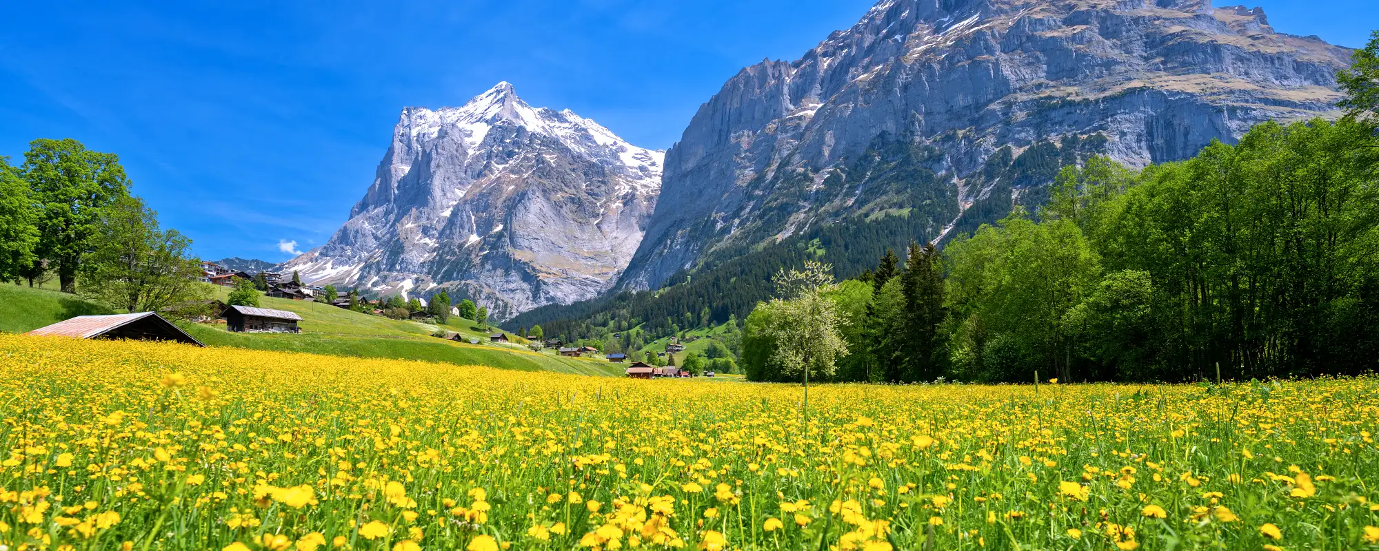 Grindelwald-그린델발트