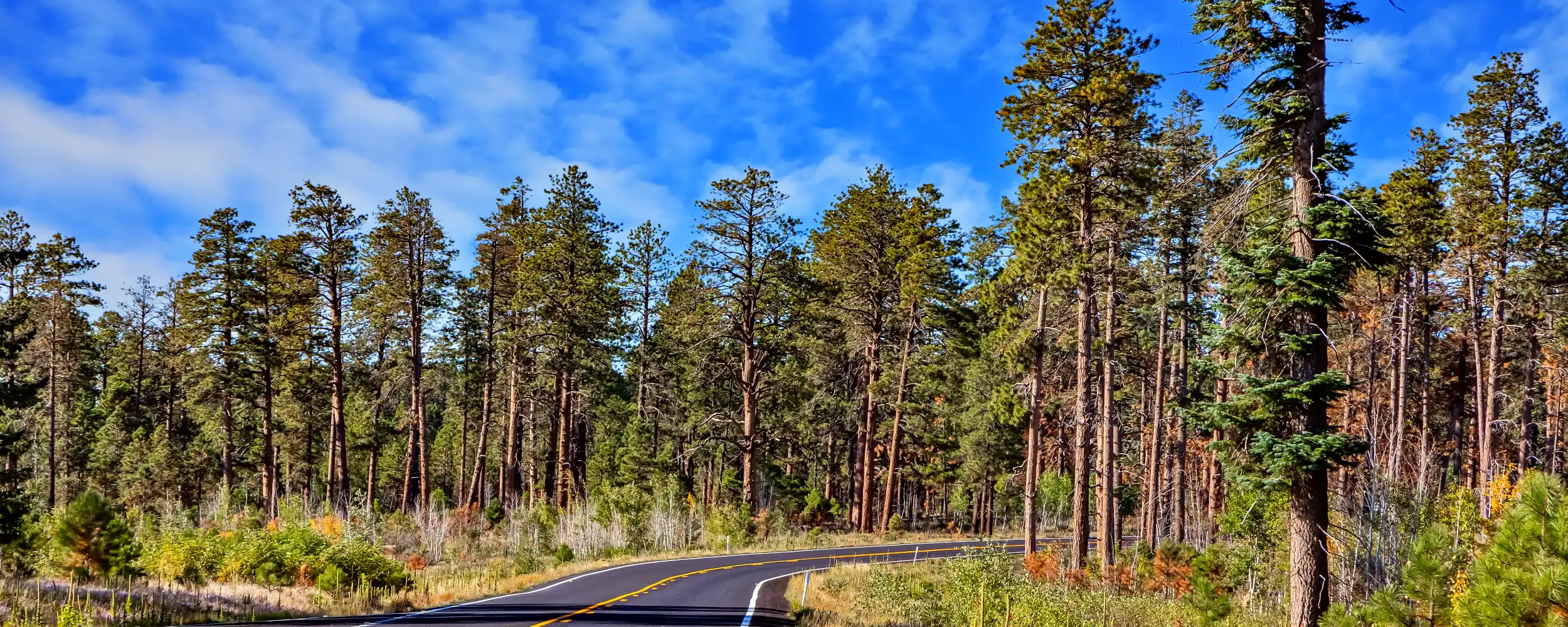 Grand Canyon-그랜드캐년