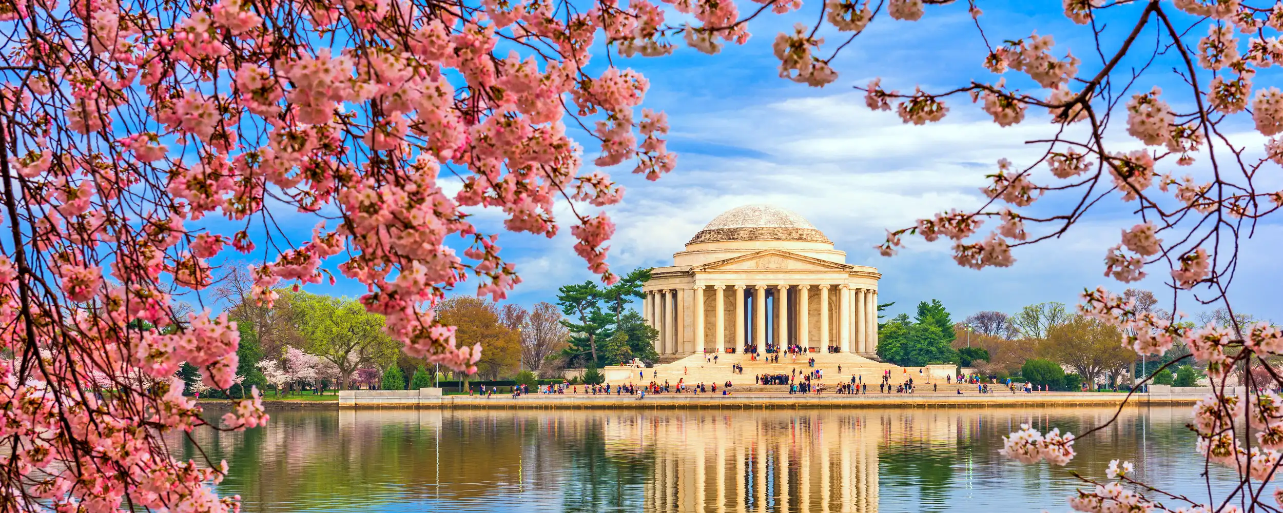 Washington DC-워싱턴DC