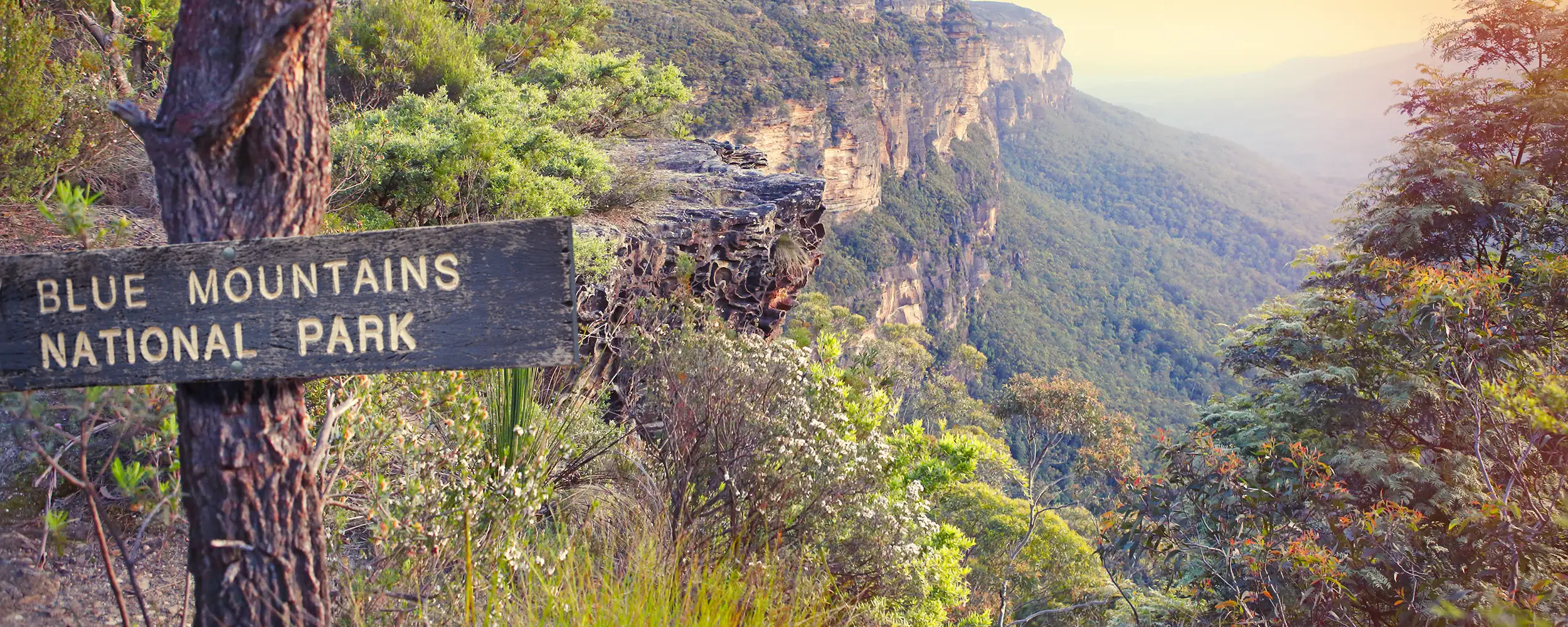 블루마운틴 국립공원