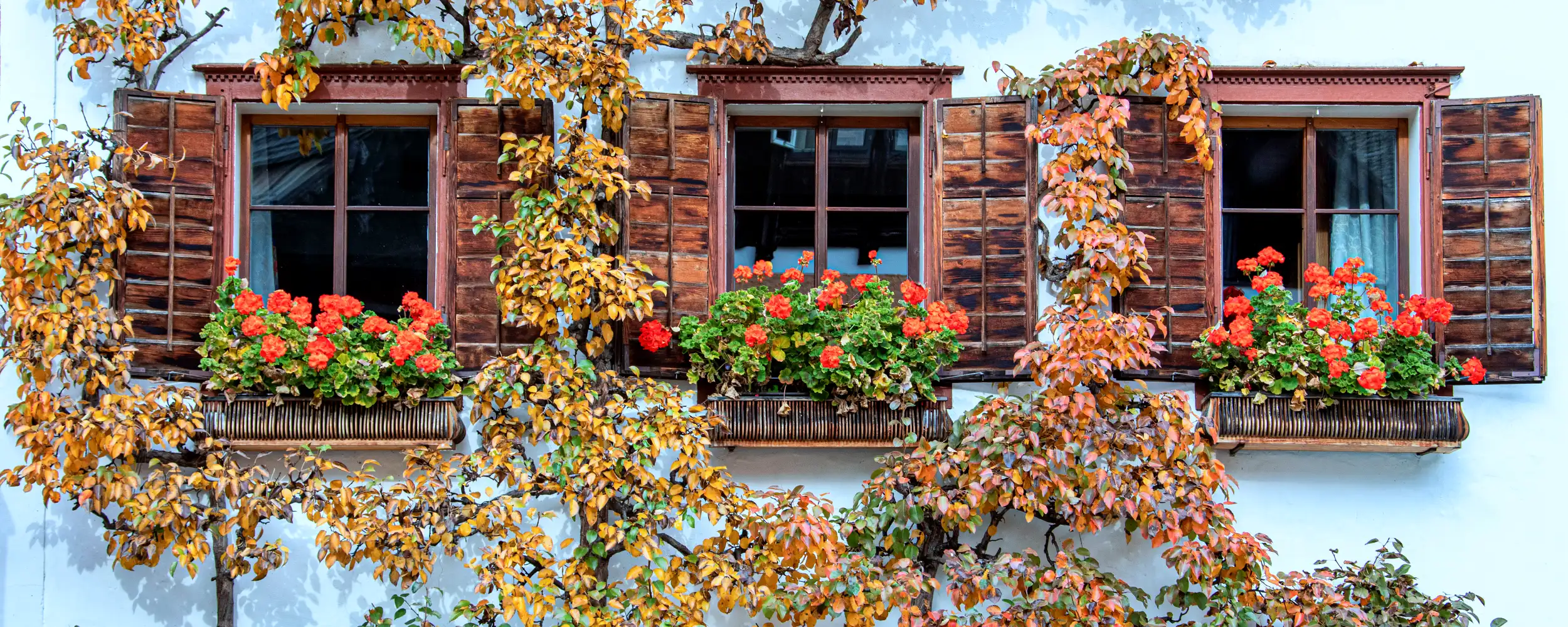 Hallstatt-할슈타트