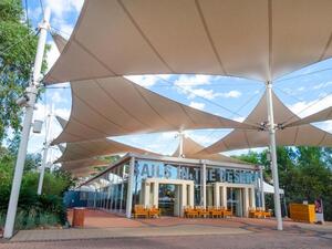 세일즈 인 더 데저트