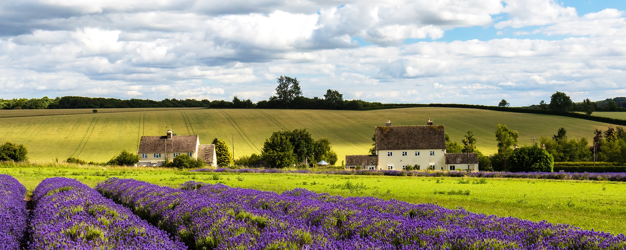 Cotswolds-코츠월드