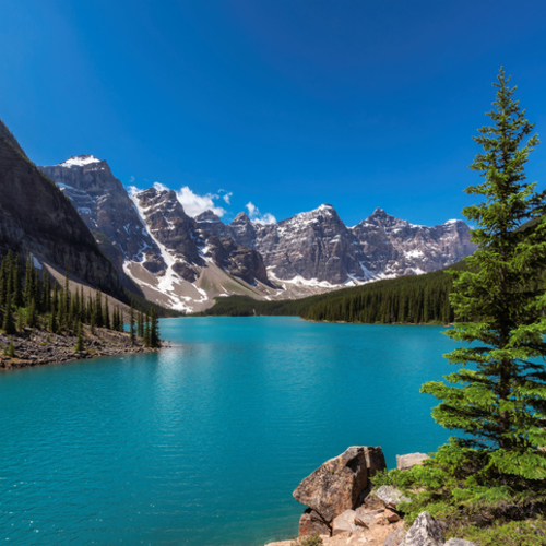 로키 렌터카일주 7일 #1