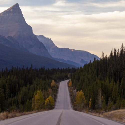 로키 렌터카 완전일주 9일