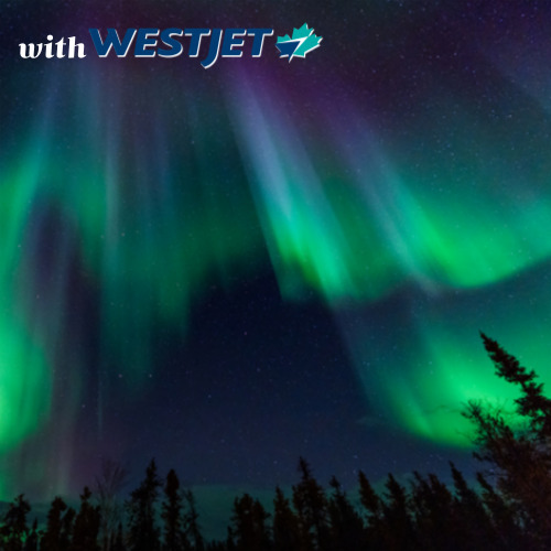 [웨스트젯] 캘거리/옐로나이프 8일  