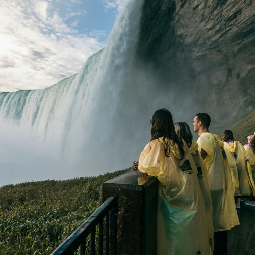 토론토/나이아가라 7일