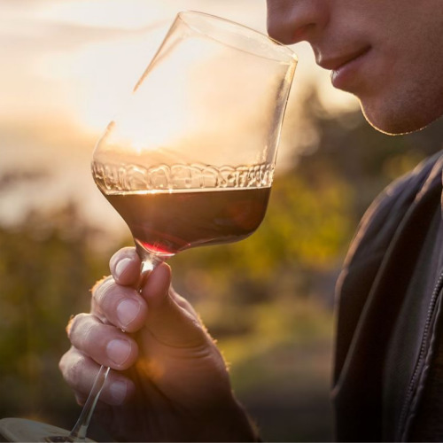 오타와/토론토/나이아가라 10일