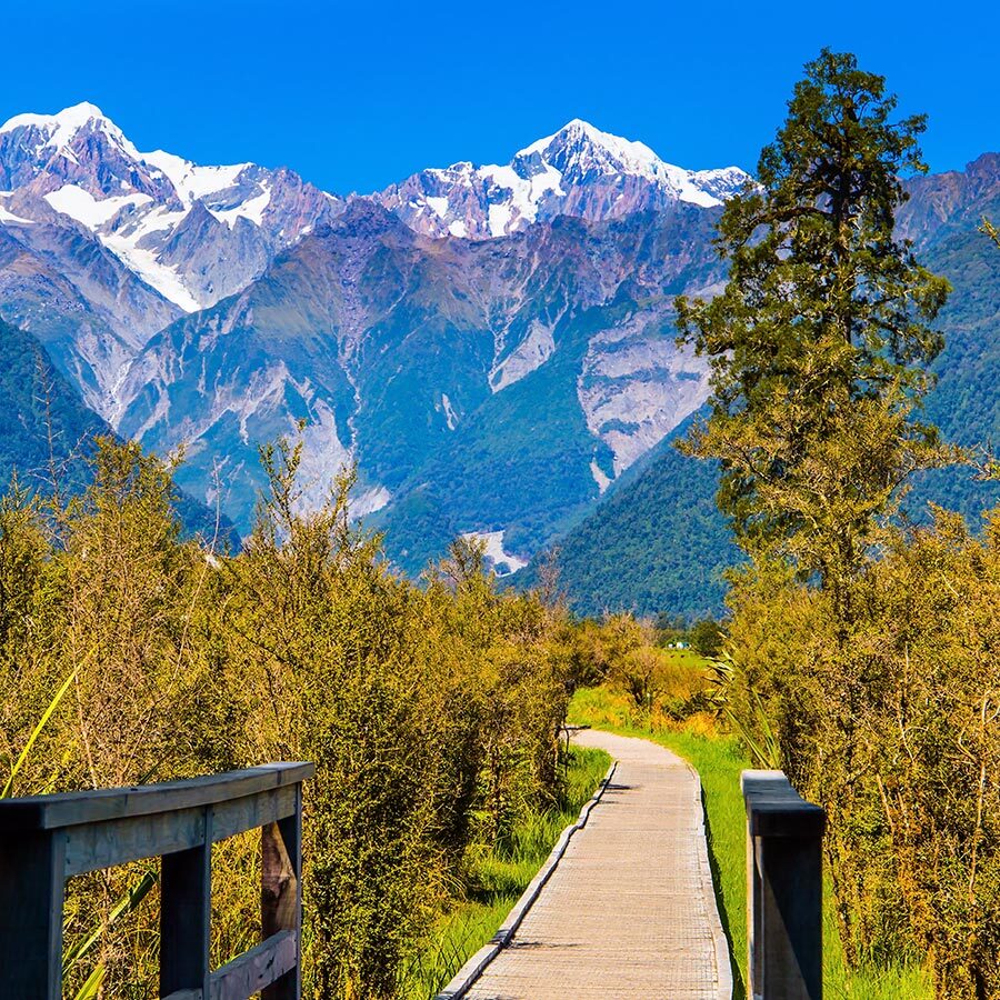 뉴질랜드 남섬 베이직일주 8일