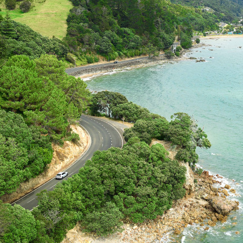 뉴질랜드 완전 렌터카일주 14일