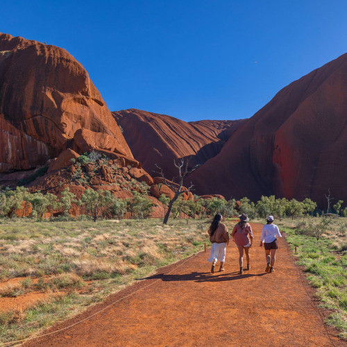 시드니/울룰루 하이킹 9일